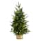 2ft. Pre-Lit Artificial Christmas Tree in Decorative Basket, Clear LED Lights